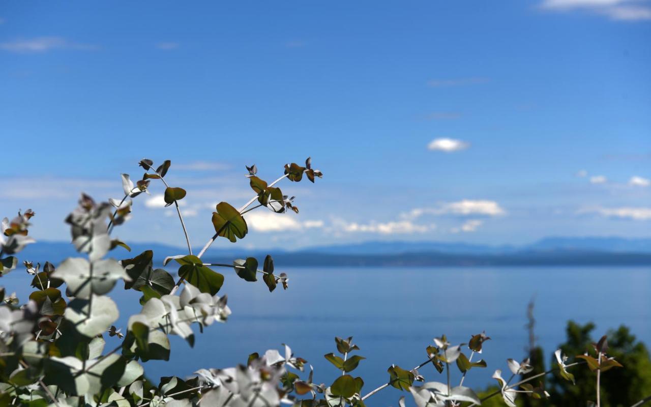 Apartments Near The Beach, With Terraces And Seaview At House B. Mošćenička Draga 外观 照片